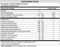 TERRA ORIGIN Healthy Gut Mint Flavor |30-Servings with L-Glutamine Zinc Gluco…