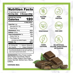 Protein Iced Coffee, Caffe’ Mocha, 16.3 oz. FREE SHIPPING!