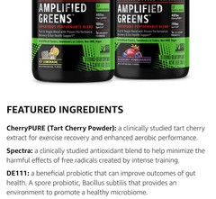 GNC AMP AMPLIFIED GREENS Powder 10oz (30 Serv) Blueberry Pomegra BEST BY 08/26