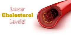 Work Is Blood Thinner – Reduce Cholesterol 460mg – Policosanol 20 Capsule 3B