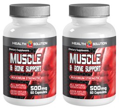 Muscle and Joint Healing and Recovery 500mg (2 Bottles, 120 Capsules)