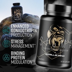 Gorilla Mind Sigma – Ali And Fadogia Agrestis Extract To
