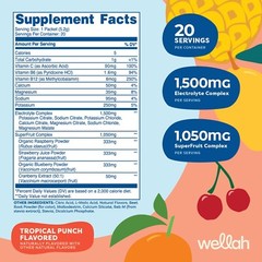 Wellah Splish Splash Hydration (Tropical Punch ) 20 Stick Packs – Electrolytes