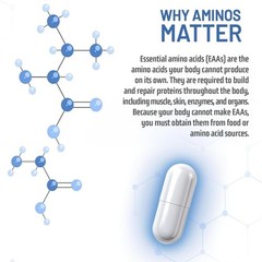 NAUTILUS Muscle Code Essential Amino Acid Capsules – Muscle Synthesis & Repair &