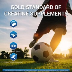 2X Pure Creatine Monohydrate – 2.2 lbs 200 Servings 5g Each Micronized Powder