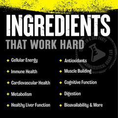 Universal Nutrition Animal Pak Dietary Supplement 44 Packs