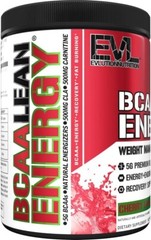 EVL BCAA Lean Energy – Clean Pre Workout Powder for Energy & Fat Burning, 10.9oz