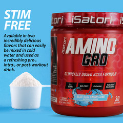 iSatori AMINO-GRO – BCAA’s with Glutamine and Bio-Active Peptides – Blue Razz