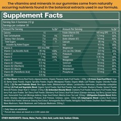 Natural Supergreens Multivitamin Gummies, Adaptogens, Pre & Probiotics, Fiber…