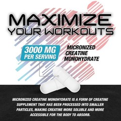 Creatine Monohydrate Capsules 3000mg – Micronized 120 Count (Pack of 1)