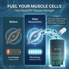 Zenos Health MuscleZen Muscle Builder for Men – ATP Supplements for Strength …