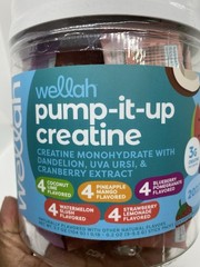 Wellah Pump-It-Up Creatine Stick Packs 20 Ct Variety Pack 3g Creatine New