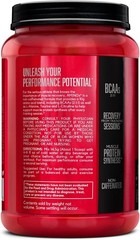 Amino X BCAA Powder Watermelon Flavor