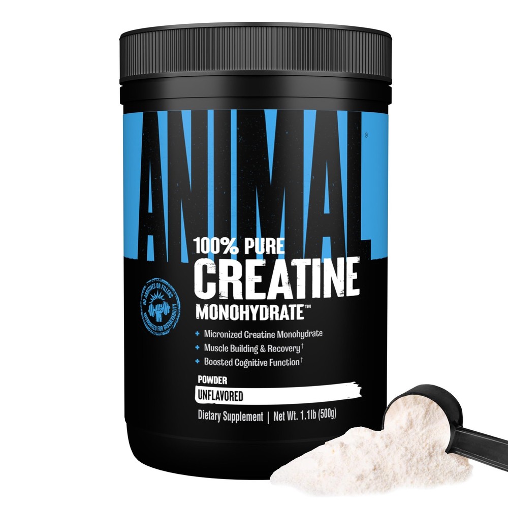 Creatine Monohydrate Powder – Micronized Creatine for Women and Men, Supports…