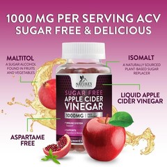 Apple Cider Vinegar Gummies for Weight Loss – Sugar Free 60 Count (Pack of 1)