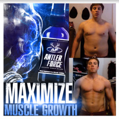 Antler Force – Strength & Endurance Formula – Recovery & Muscle Growth