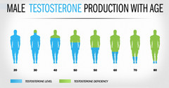 #1 Testosterone Booster Monster Test Tablets 240ct + Creatine Monohydrate 300g