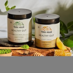 TERRA ORIGIN Healthy Gut Powder Honey Lemon | 30-Servings with L-Glutamine, Z…