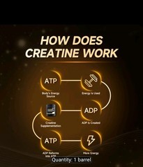 Ahete Creatine Bodybuilding Supplement Powder, No Sugar, Unisex Department