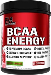 EVL Evlution Nutrition BCAA Energy Amino Acid Pre-Workout Powder – 30 & 65 Srv