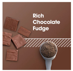 Optimum Nutrition Gold Standard Plant Protein Rich Chocolate Fudge 2 Pack 1lb