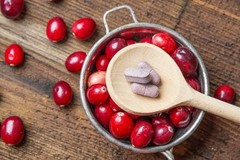 UTIs Helping Pills – Cranberry Extract 50:1 272mg – Canberry Plant 1B