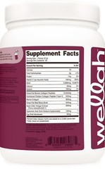 Wellah The Afterglow Multi Collagen Protein + Beauty (Dark Chocolate Flavored)