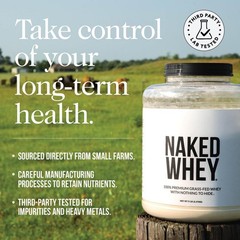 NAKED Whey 1Lb – Only 1 Ingredient, Grass Fed 1 Pound (Pack of 1)