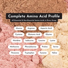Just Ingredients Chocolate Protein Powder | Grass-Fed Whey Protein | Chocolate