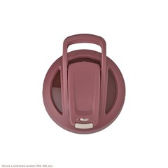 BlenderBottle 25oz Stainless Steel Strada Water Bottle – Rose Red