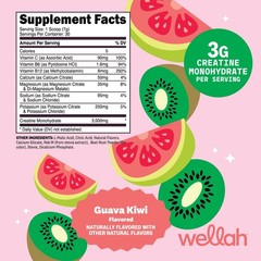 Wellah Creatine + Hydration Powder (Guava Kiwi) 30 Servings – Electrolyte Drink