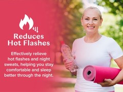 WILE HOT FLASH SUPPORT Hot Flash & Night Sweats 60 Caps (30 Serv) BEST BY 05/26