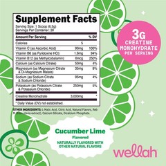 Wellah Creatine + Hydration Powder (Cucumber Lime) 30 Servings – Electrolyte Mix