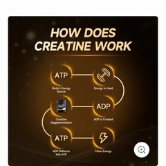Creatine Monohydrate Powder 60 Servings 2 Month Supply Fast Absorbed