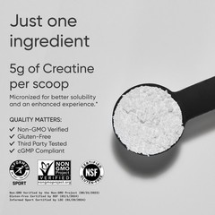 Creatine Monohydrate – Gain Lean Muscle, Improve Performance and Strength (500g)
