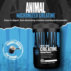 Creatine Monohydrate Powder – Micronized Creatine for Women and Men, Supports…