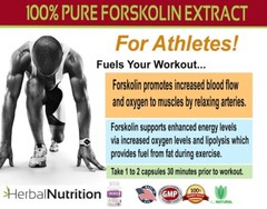 Forskolin Extract – 250mg At 20%, For Diet & Weight Loss *3 Pack* 270 Capsules!