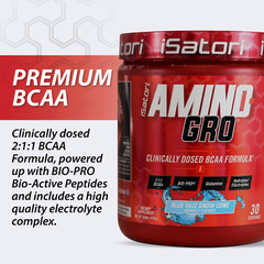iSatori AMINO-GRO – BCAA’s with Glutamine and Bio-Active Peptides – Blue Razz