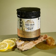 TERRA ORIGIN Healthy Gut Powder Honey Lemon | 30-Servings with L-Glutamine, Z…
