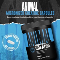 Animal Micronized Creatine Monohydrate Capsules – 300 Caps, 2500mg per Servin…