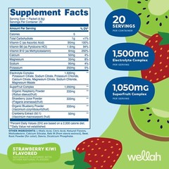 Wellah Splish Splash Hydration (Strawberry Kiwi) 20 Stick Packs – Electrolytes