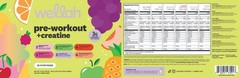 Wellah Pre-Workout + Creatine (Variety Pack) 20 Stick Packs, 6 Flavors