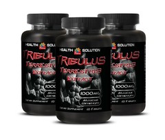 mens pills for – Tribulus Terrestris 1000 60T – free form testosterone 3B