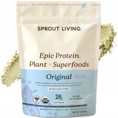 Plant Based Protein & Superfoods Powder, 1 Pound (Pack of 1), Original