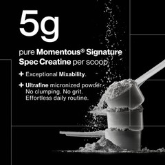 Creatine Monohydrate Powder – Supports Strength, Lean Muscle & Recovery – 90 Ser
