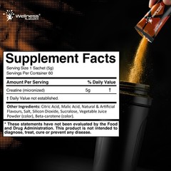 WELLNESS LABSRX Creatine Monohydrate Powder Sachets 300g – Mango Flavor Micro…