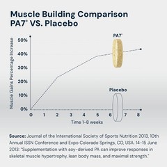 PA(7) Phosphatidic Acid Muscle Builder Top Natural Muscle Builder – Boost Mtor |
