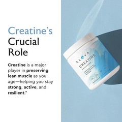 Micronized Creatine Monohydrate Powder – Vegan, Non-GMO, Flavorless, 5g for Stre