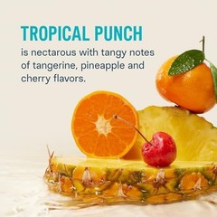 Liquid I.V. Hydration Multiplier – Tropical Punch Electrolyte Powder Drink Mix