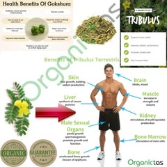 Best TRIBULUS TERRESTRIS Bodybuilding Tea for Men & Women Body Building, Detox .